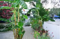 Ali Baba Hotel Gümbet