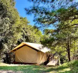 Silk Pavilions Glamping