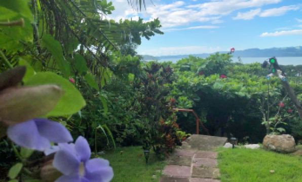 Blue Dream Kite Boarding Resort Costa Rica - Housity