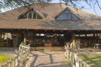 Grassland Safari Lodge Hotels in 
