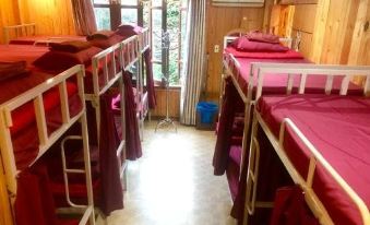 Hai Phong Woody Garden Hostel