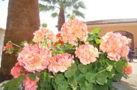 Villa Laura Residence Hotel Apartments & Studios