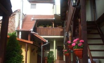 Pensiunea Cocosul Rosu - Housity