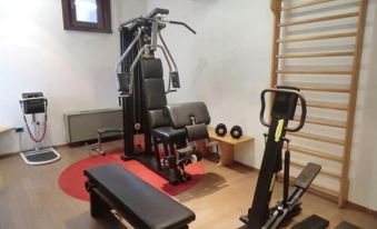 a well - equipped home gym with various exercise equipment , including a bench , weights , and a treadmill at Hotel Bellavista
