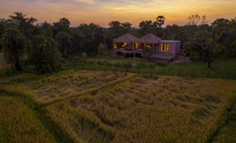 a house with a wooden roof is nestled in a field of tall grass at dusk at Uga Ulagalla - Anuradhapura