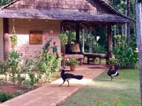 Atta Rainforest Lodge Hotels in 