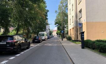 Central Rental - Apartament Wygodny