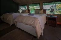Nkwe Safari Lodge Hotels in 