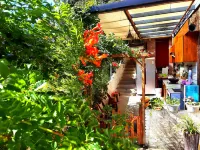 張家界懶貓客棧（武陵源店） 烏龍寨附近的飯店