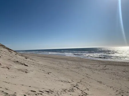 "Durita" - 600m to the Fjord Отели в г. Hvide Sande