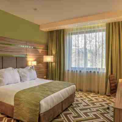 普羅夫迪夫假日酒店 Rooms