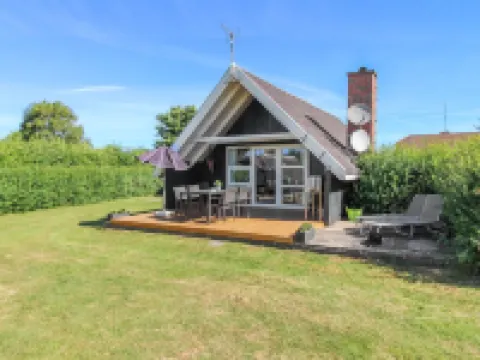 "Elbert" - 100m from the Sea