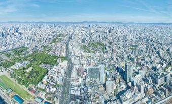 1. 오사카 뷰 호텔..
