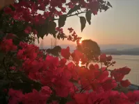 Tixiangdejia Homestay (Longtan Road)