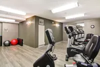 The Park Hotel London - Gym