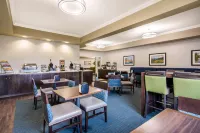 Comfort Inn & Suites - Cho phép mang theo thú cưng