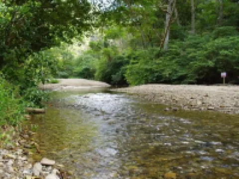 やんばるの森 大宜味村のホテル