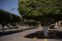 Holiday Inn LA PIEDAD by IHG - parking