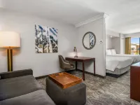 SpringHill Suites Phoenix Glendale Sports & Entertainment District Hotels near Camelback Ranch