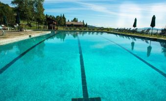 a large , empty swimming pool with a view of the countryside and people in chairs at Trapp Family Lodge