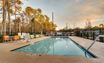 Holiday Inn Express & Suites Charleston NE MT Pleasant US17