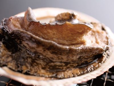 料理 胡蝶蘭の写真