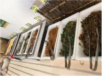 Sanco Inn Iseshi-Ekimae Shikinoyu <Main building><Annex Grande> - sarapan