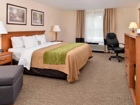 Quality Inn Selinsgrove Отели в г. Snyder County