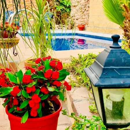 Boutique Hostal Lorca