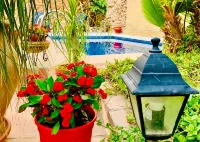 Boutique Hostal Lorca - Beach