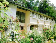 Blue Poppy Lodge