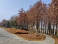 Jinxi Chuanjiang Bian Homestay (Jiangzhu Road)