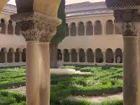 Hotel Alisa