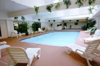 Hampton Inn Jefferson City at the Capital Mall - Pools