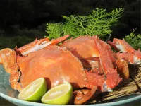 Kaihin Ryoan Shioji Hotels in Bungotakada