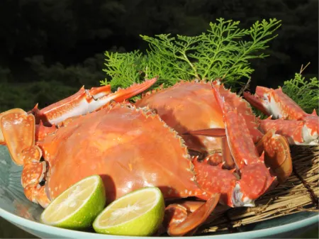 Kaihin Ryoan Shioji Отели рядом с достопримечательностью «Dagashiyano-yume Museum»