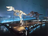 시키부 온센 유라리