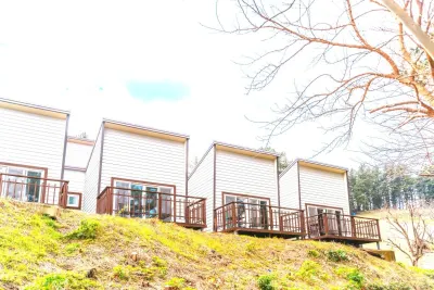 울릉도 스테이섬씽 우산국박물관 주변 호텔