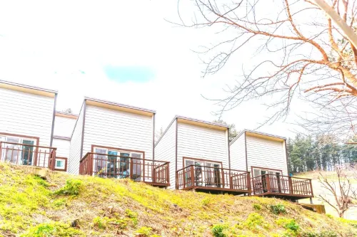 Ulleungdo StaySomething Hotels in Ulleung-gun