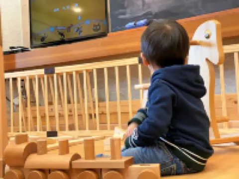 下呂温泉 木曽屋 下呂のホテル