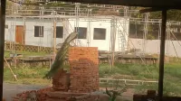 Khajuraho Holiday Resort Hotels in Chhatarpur