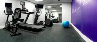 Holiday Inn Express & Suites HIAWASSEE by IHG - Gym