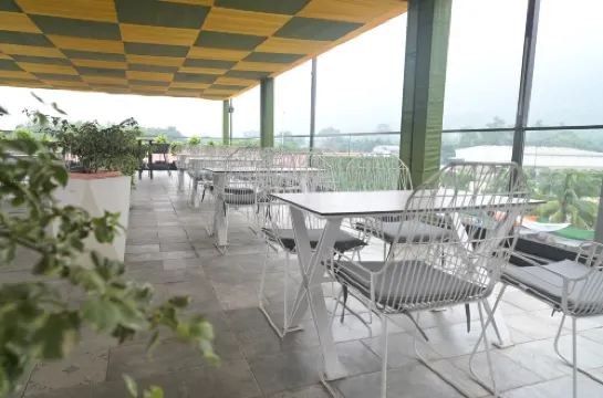 The Wave International