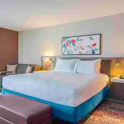 Hilton Garden Inn Danbury Rooms