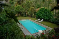 After the Rains - Rainforest Lodge Hotels in Wayanad