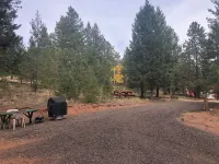 Secluded CO retreat featuring a swim spa, hiking trail and stocked kitchen!