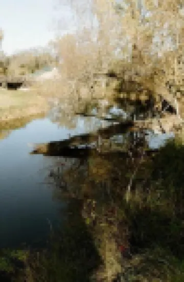 Karen’s River Bend! 0.5 miles away from beach!!