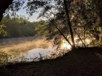 Serenity Springs On The Suwannee Cabin #1 딕시 카운티 호텔