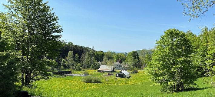 Cozy Cabin Retreat Hotels in Washington County