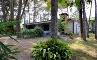 Spacious villa surrounded by lush greenery Hôtels à : 